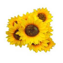 Artificial Sunflower