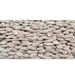 Twin Sondesh Chocolate
